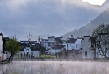 上海后花园秘境探幽：山野自然之旅